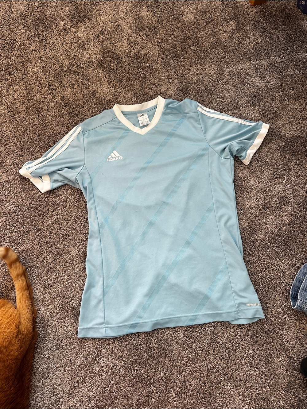 Adidas blue oversized jersey top